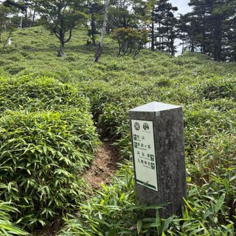5分はウソです、もう少しかかります
私の足で6分かかりました。