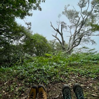 疲れた〜〜
こじんまりとした山頂でひと休み