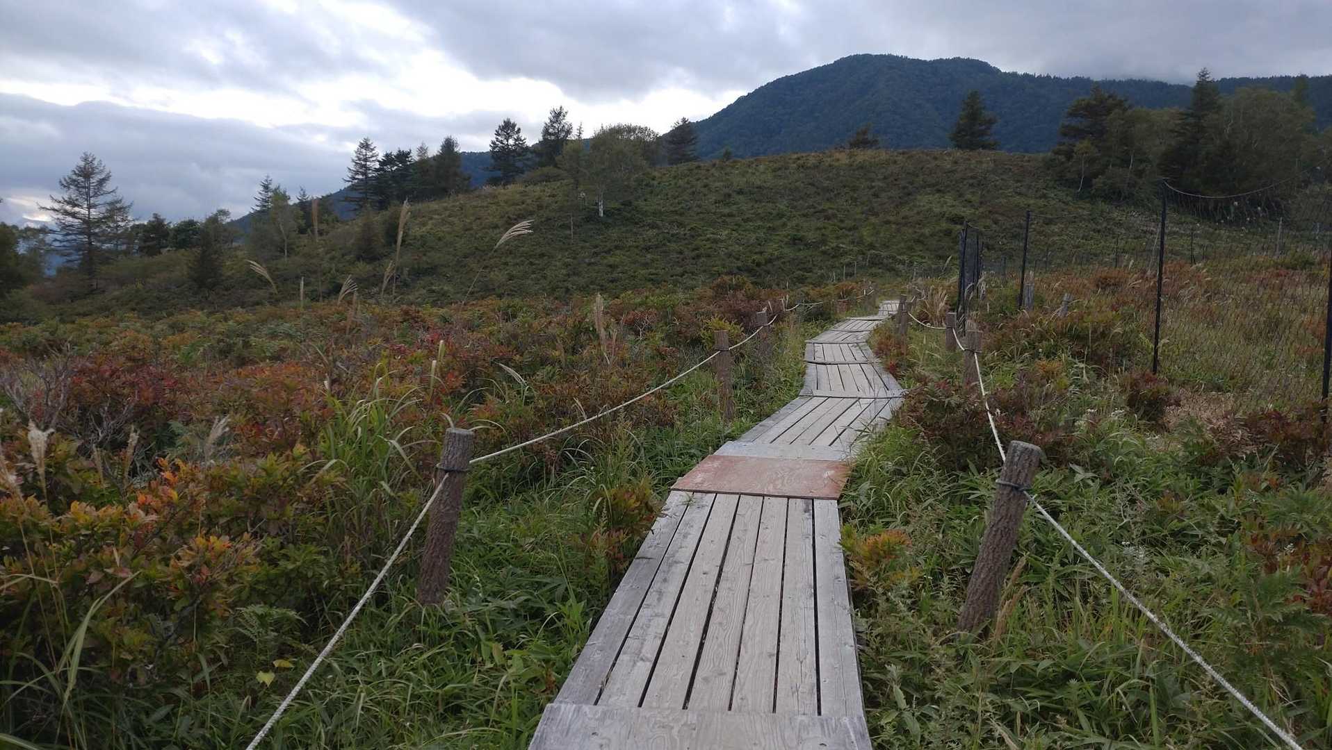 甘利山登山口-甘利山 周回コースの写真