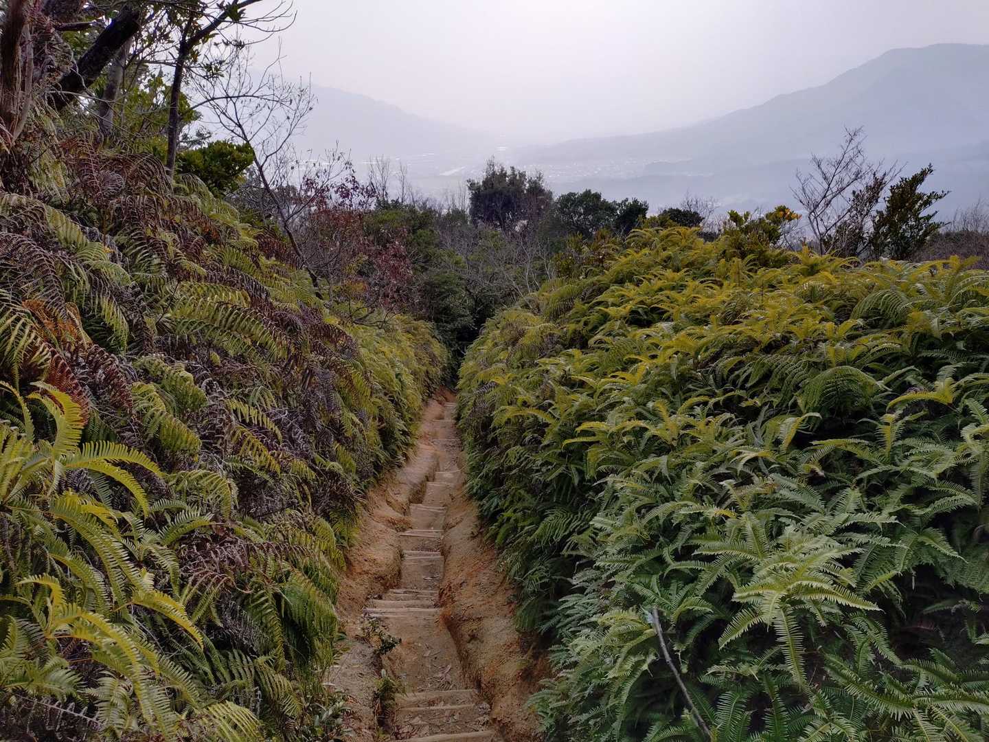 飯盛山登山道入口-飯盛山-飯盛神社中宮社 周回コースの写真