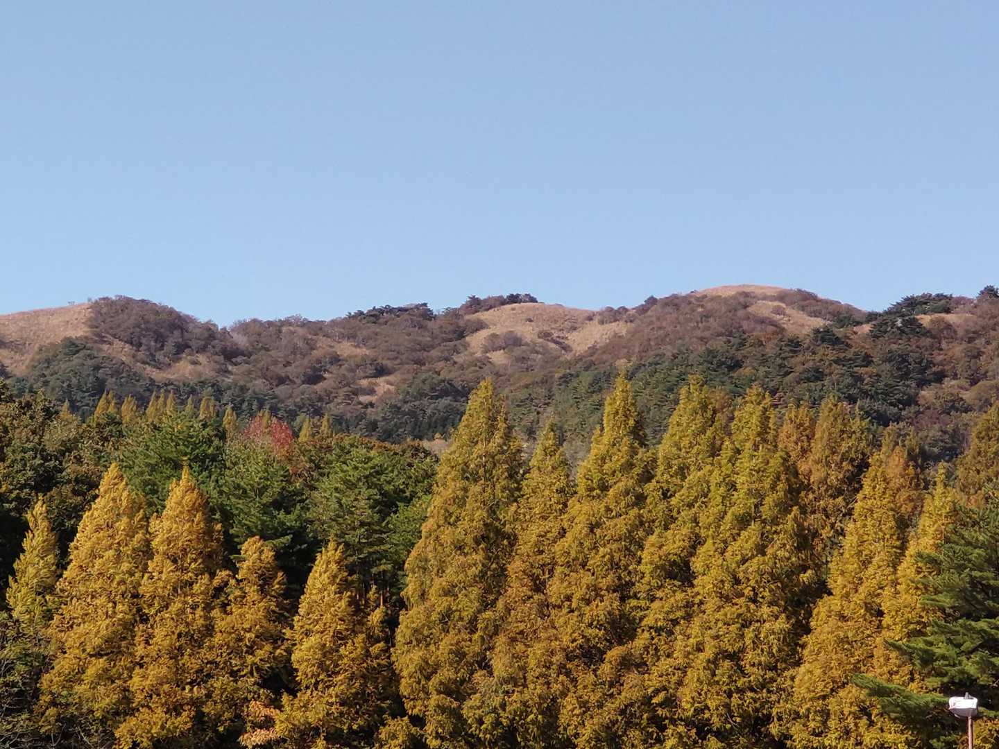 深山(ﾐﾔﾏ)の頂上らしい草原が見える