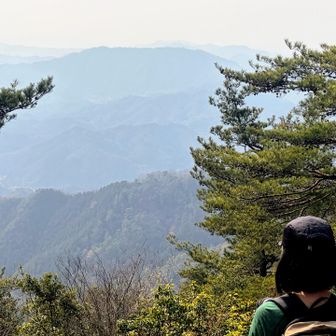 矢筈山南峰⛰️789m

本峰より1m高い
西側が開けています✨

ここでおやつ☕️

鳥のさえずりが心地いい
気持ちのいいピーク
