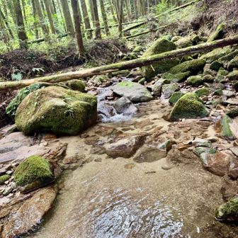いきなり沢💦渡渉点を探せ
