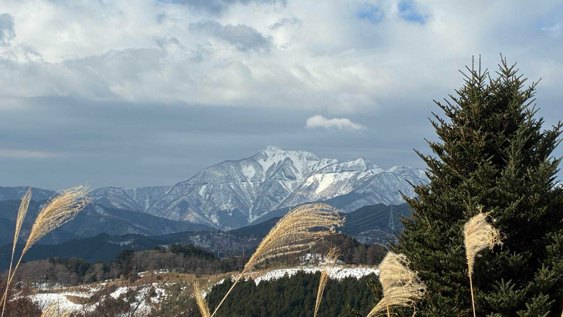 池田山 往復コースの写真