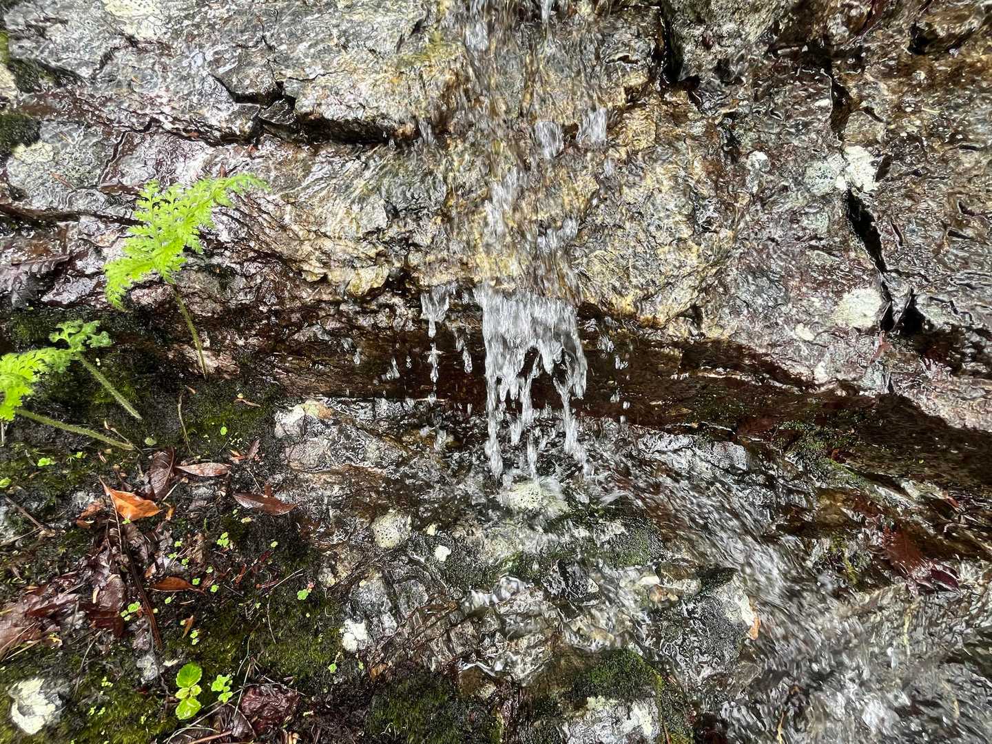 水が豊富！
水分補給！
冷えてて美味しぃ！