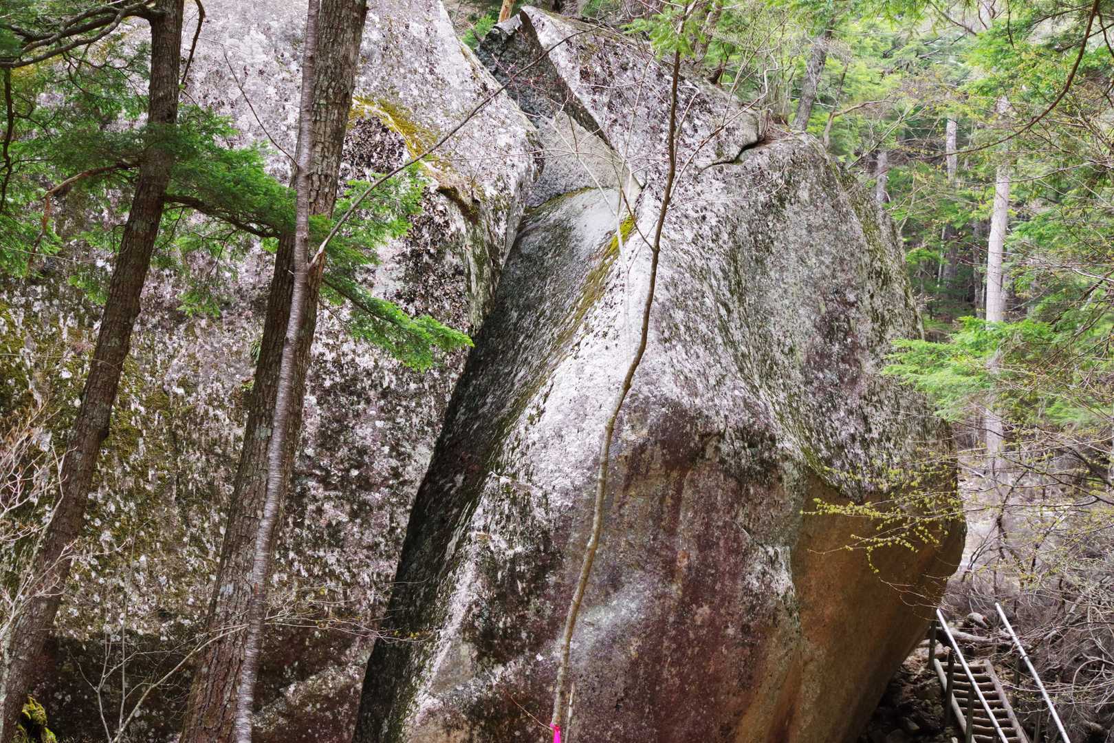 桃太郎岩

パックリ割れてます