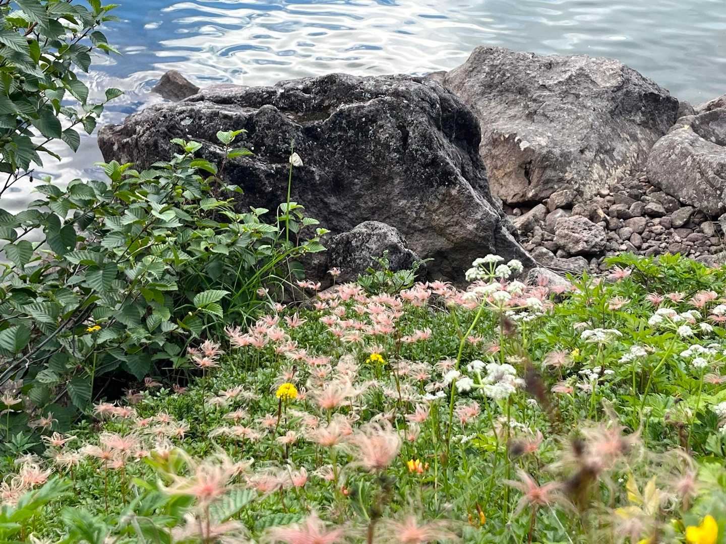 栂池自然園・天狗原の湿原を経て岩稜帯の山頂へ。眼下には白馬大池の水鏡の写真