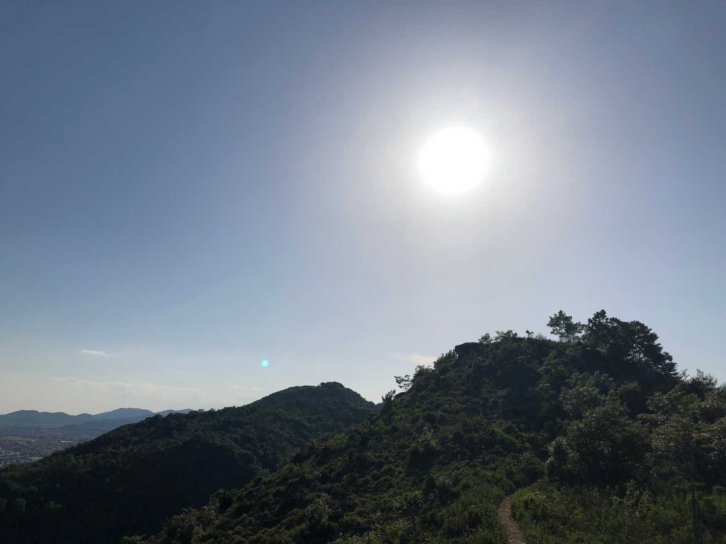 京見山-トンガリ山-才登山口 縦走コースの写真