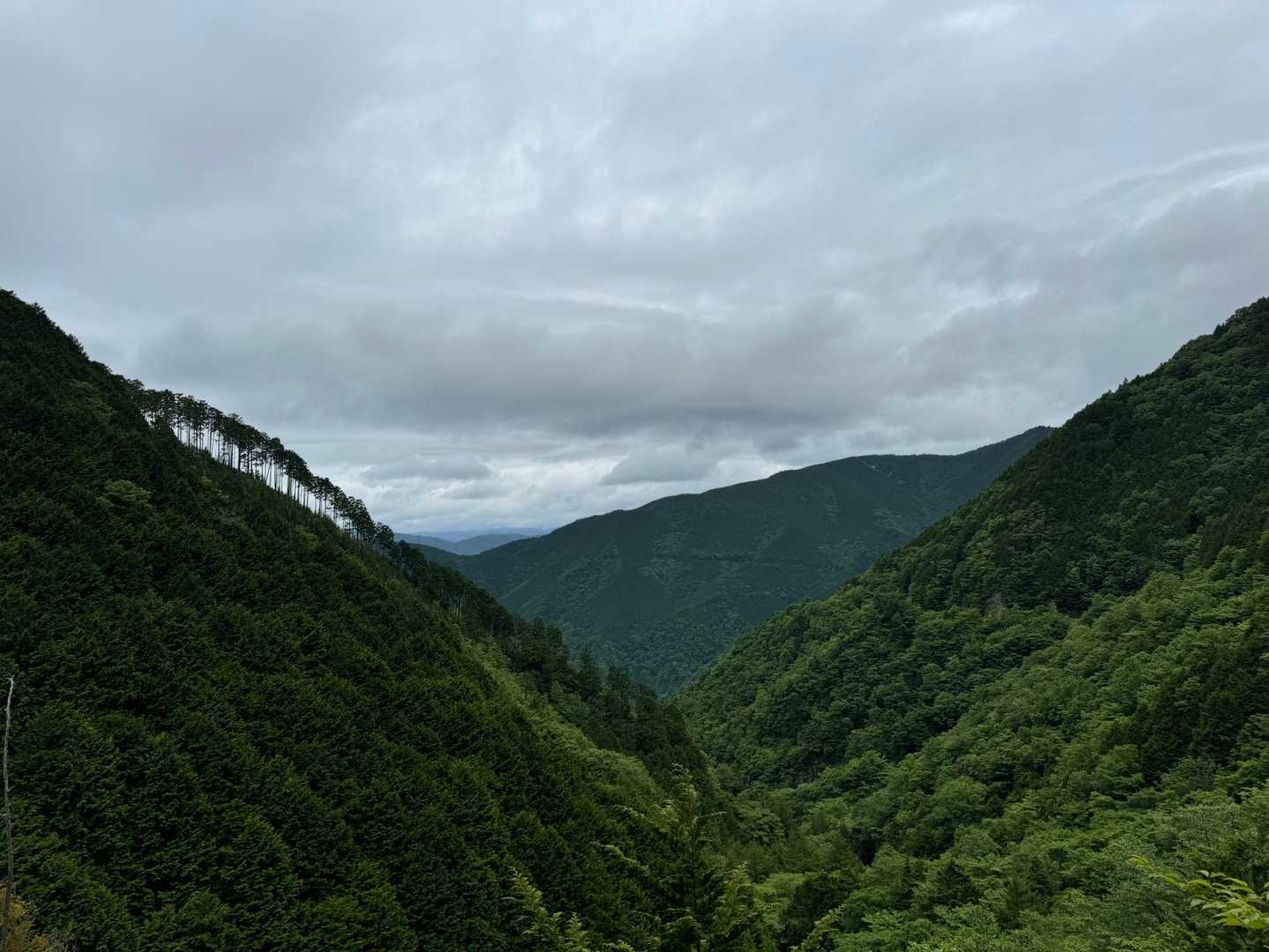 良い景色😊