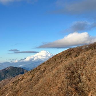 花立山荘まできたら、富士山でてきた😁