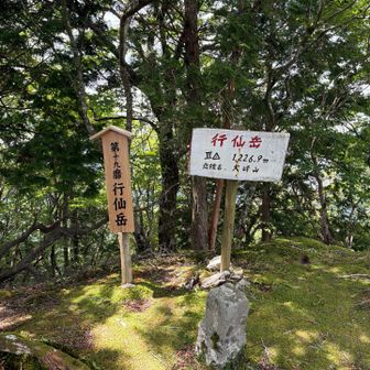 行仙岳ピーク！
