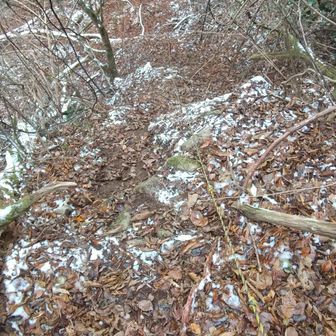 最後はこのロープのところで下りることができます。下りて後、紅葉谷道へもどるべく急坂を登り返します