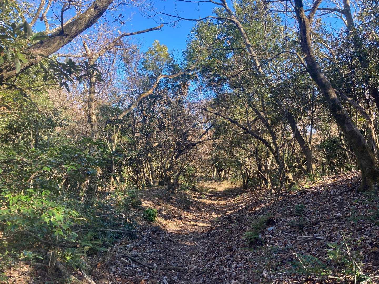 馬場平