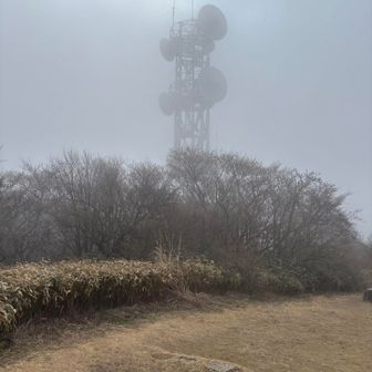 まだ少しモヤっと