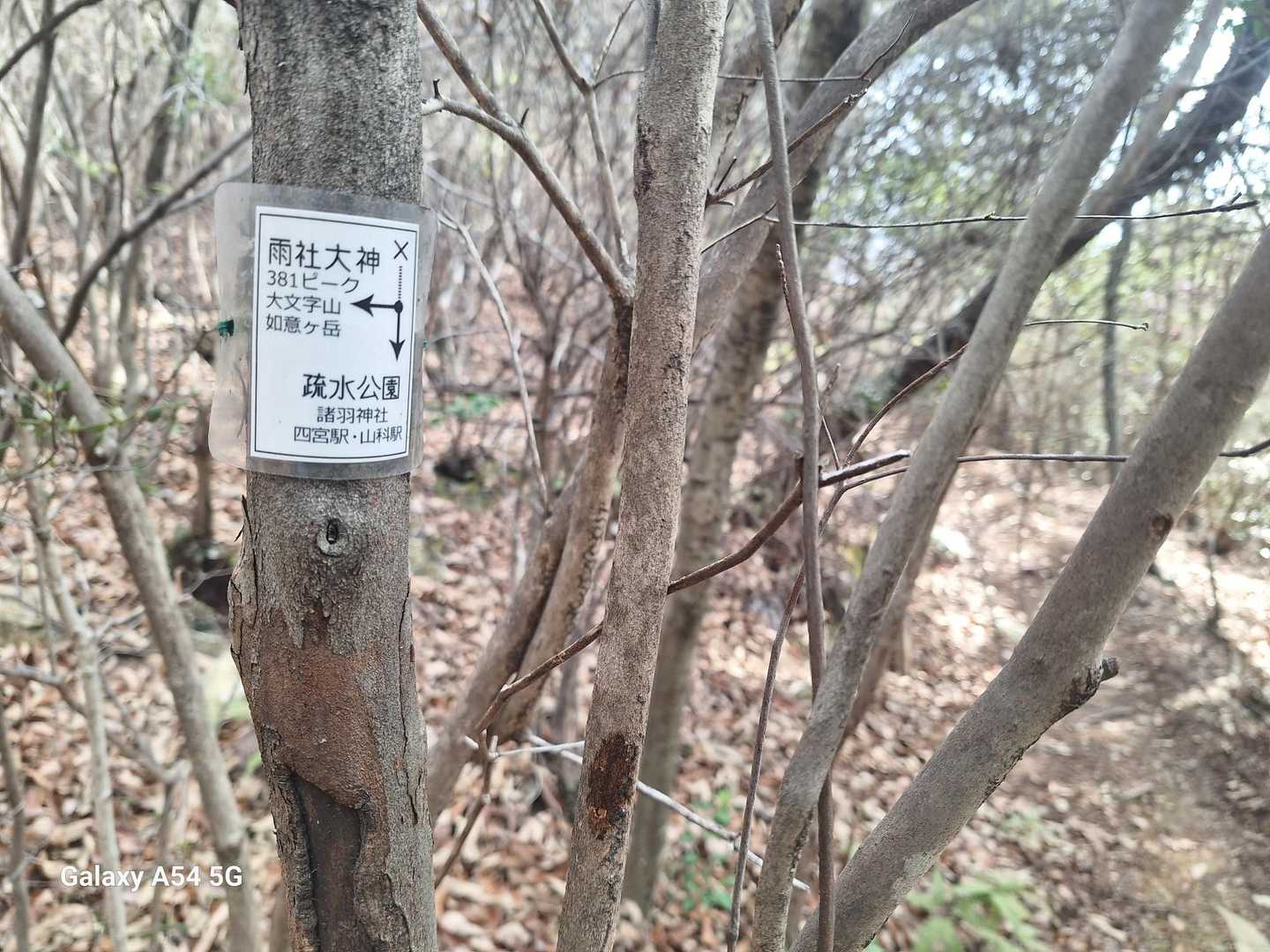 小さな手作りの案内票に助かりました🙏