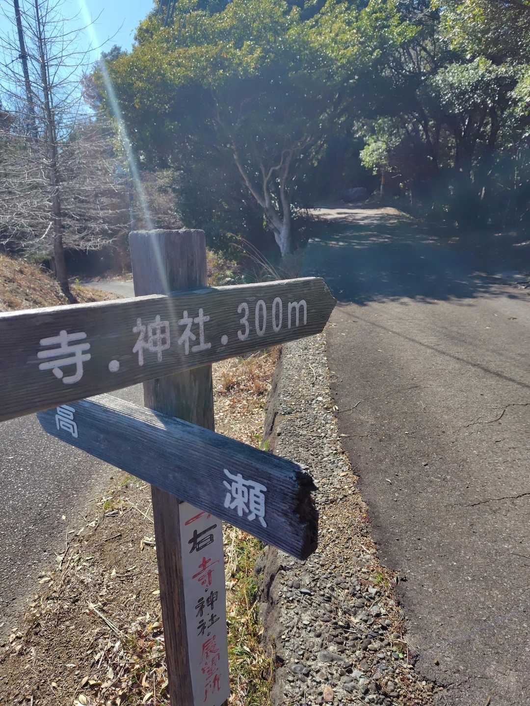 　歩いても　近くだから🤭
行ってみよう〜って🎶🎶　
