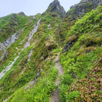 ここから槍ケ峰までトラバース気味に進みます