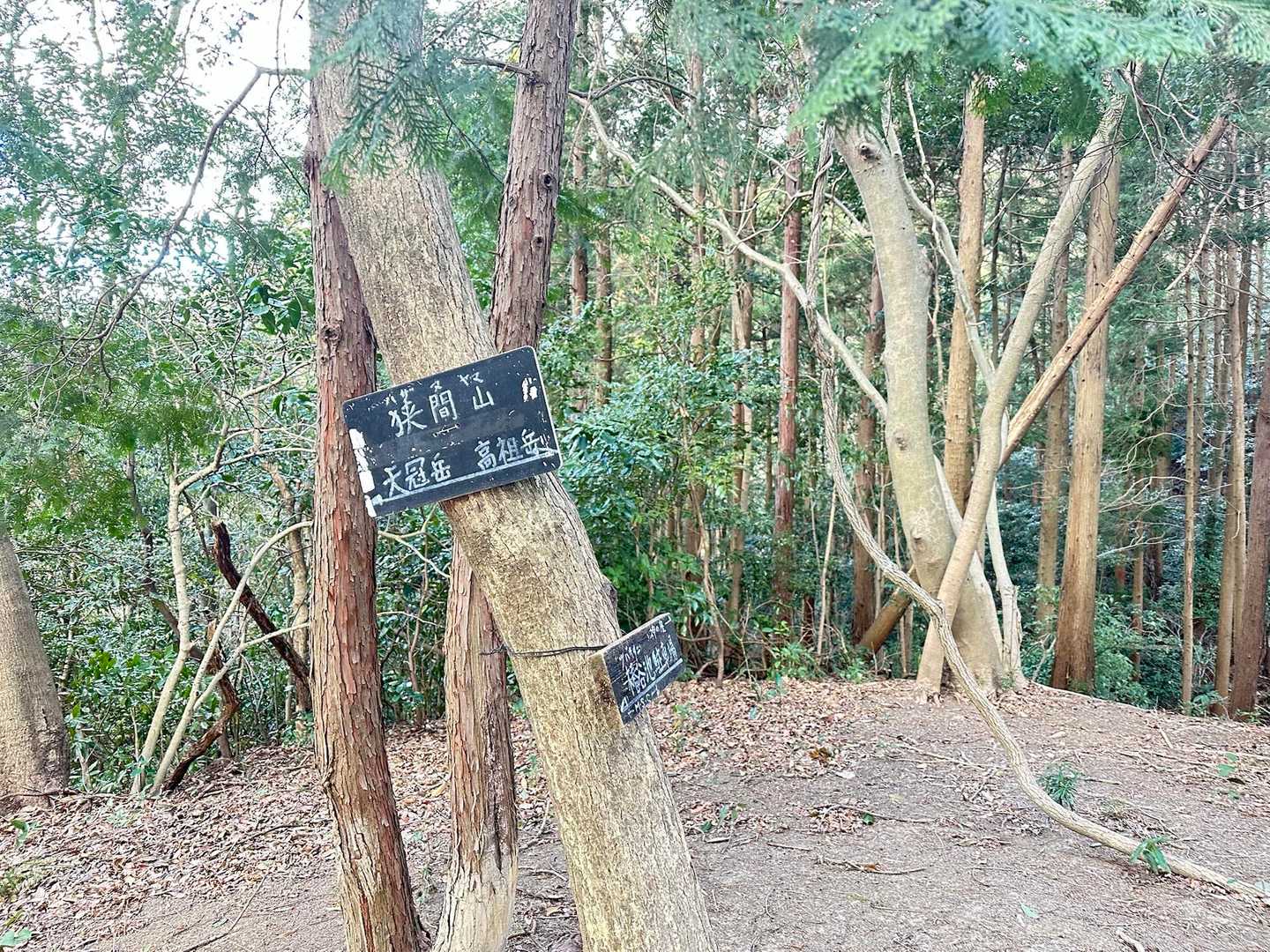 17座目〜