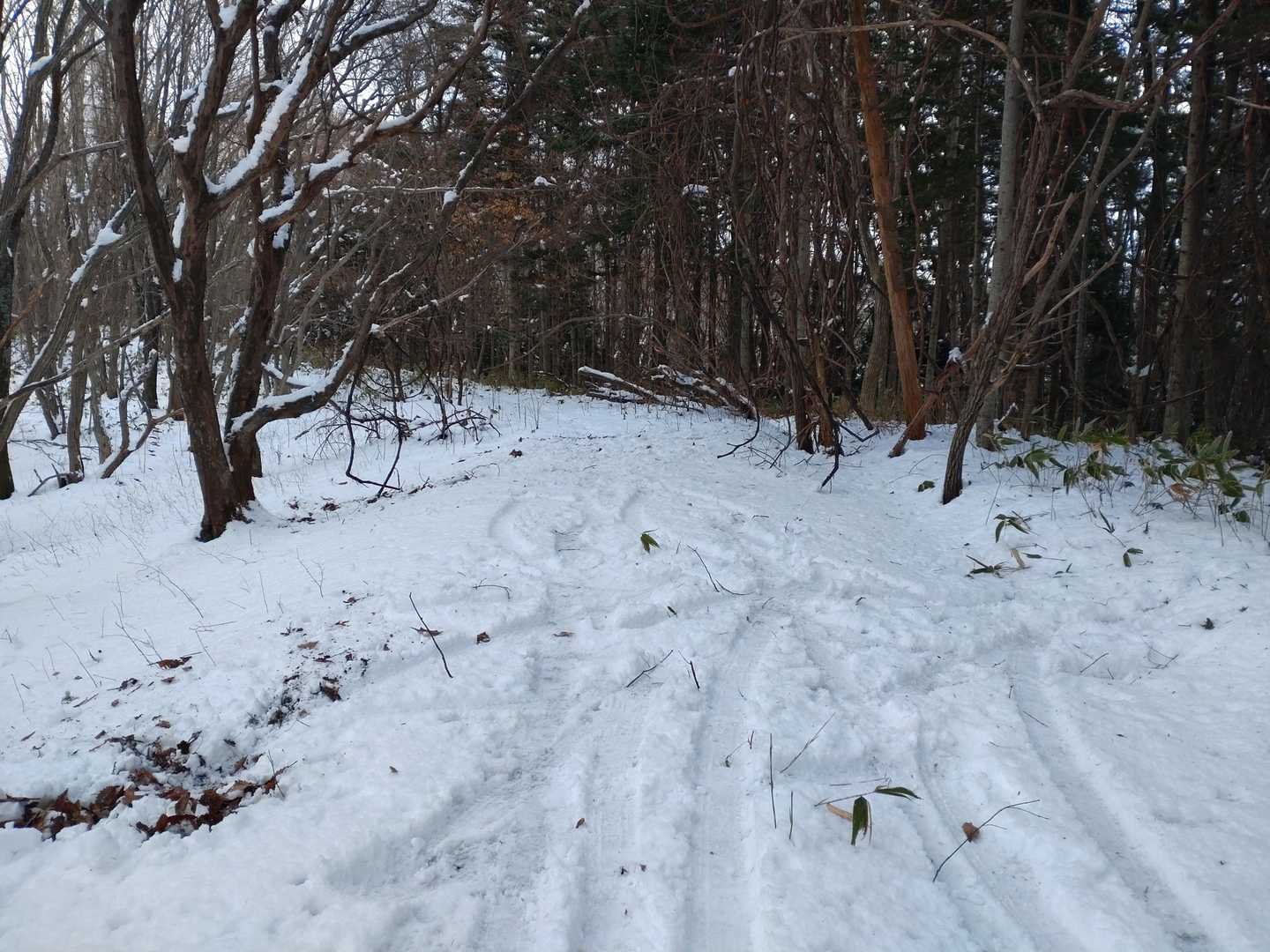 倒木とかの手前で引き返してた
切り返し出来て良かったね😊