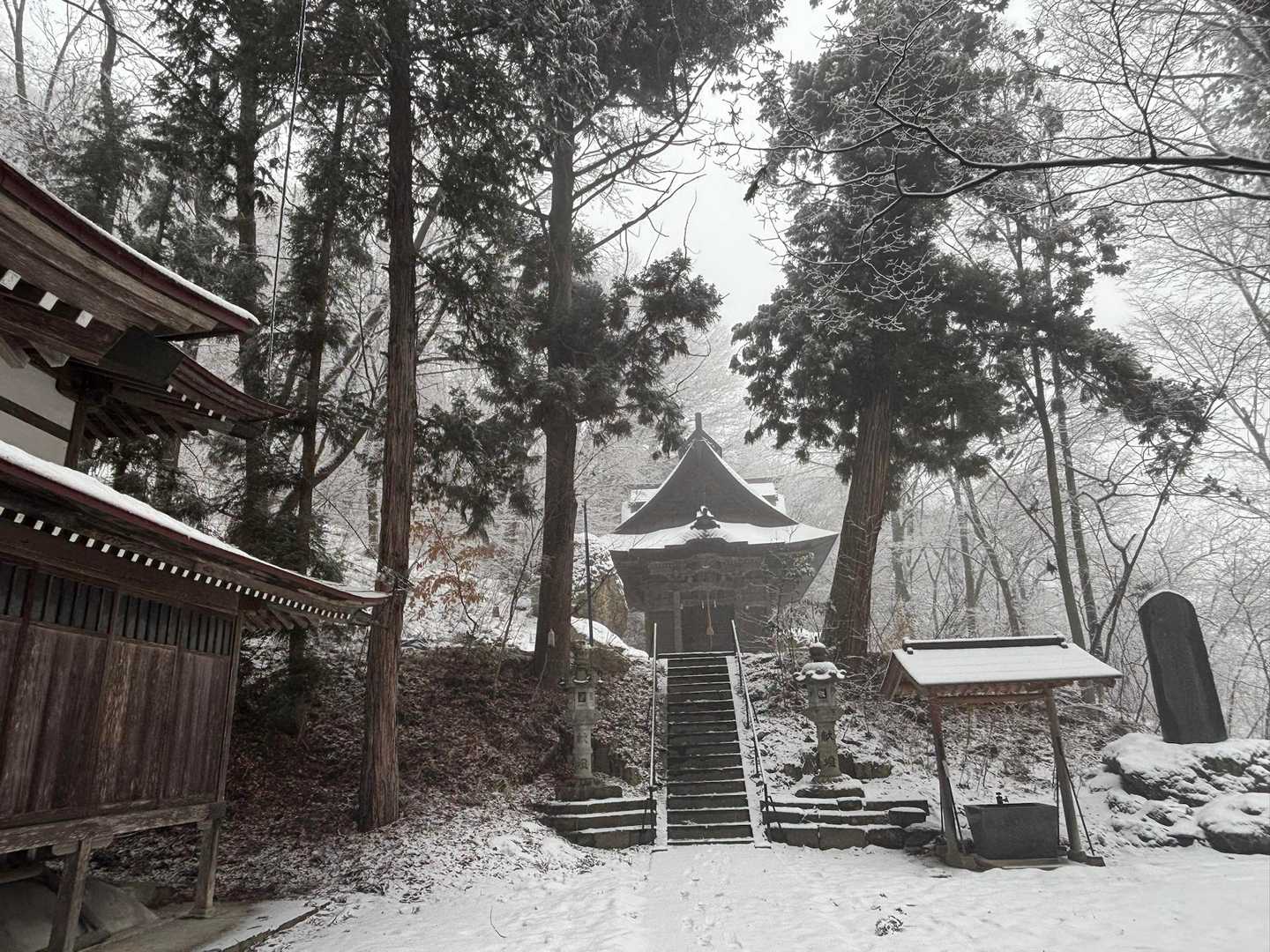 いつもの神社も今日は秘境感がある⛩️