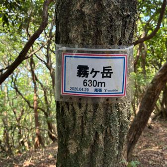霧ヶ岳に到着