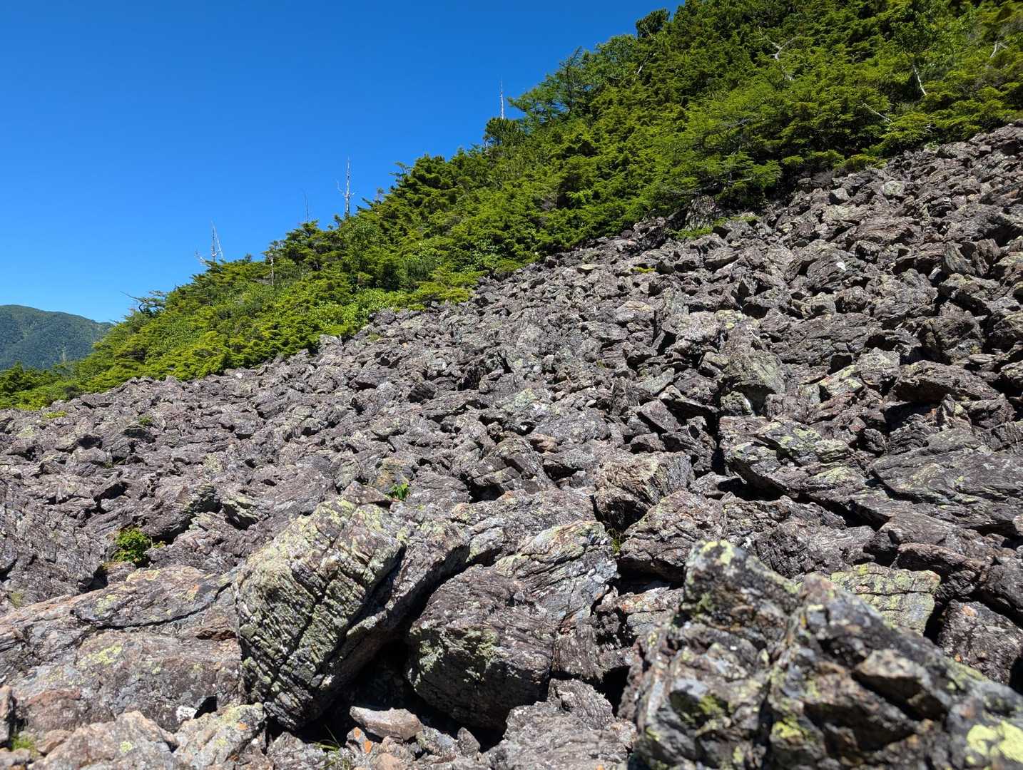 仙水峠-栗沢山 周回コースの写真