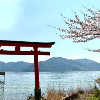 鳥居と桜🌸と琵琶湖と山々⭐️