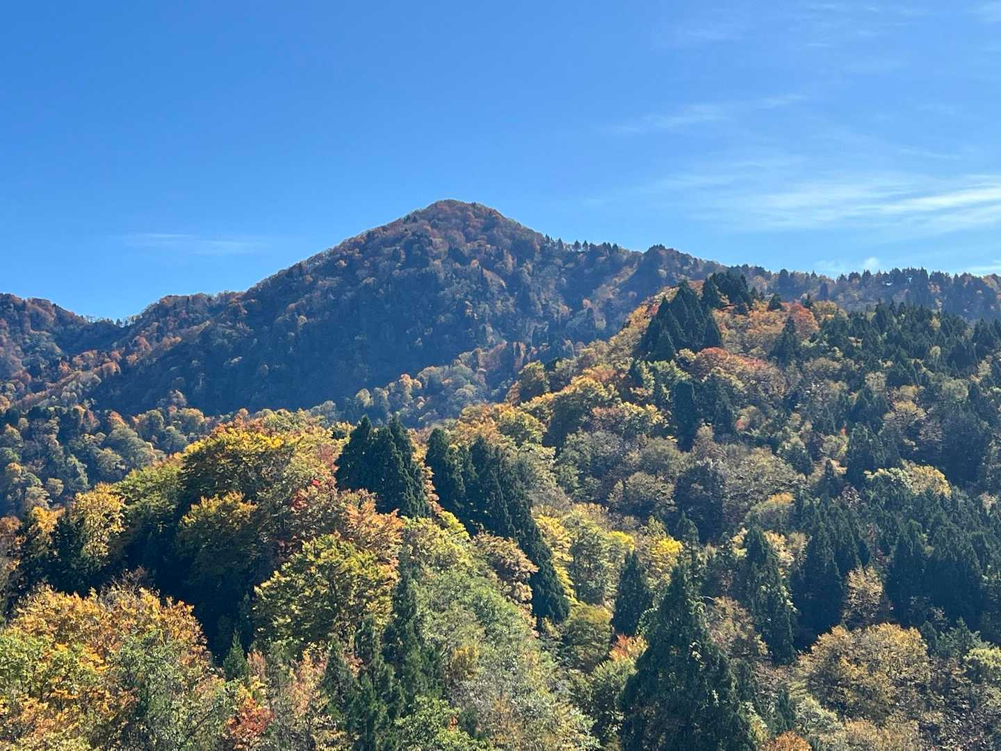 振り返って大辻山を眺める