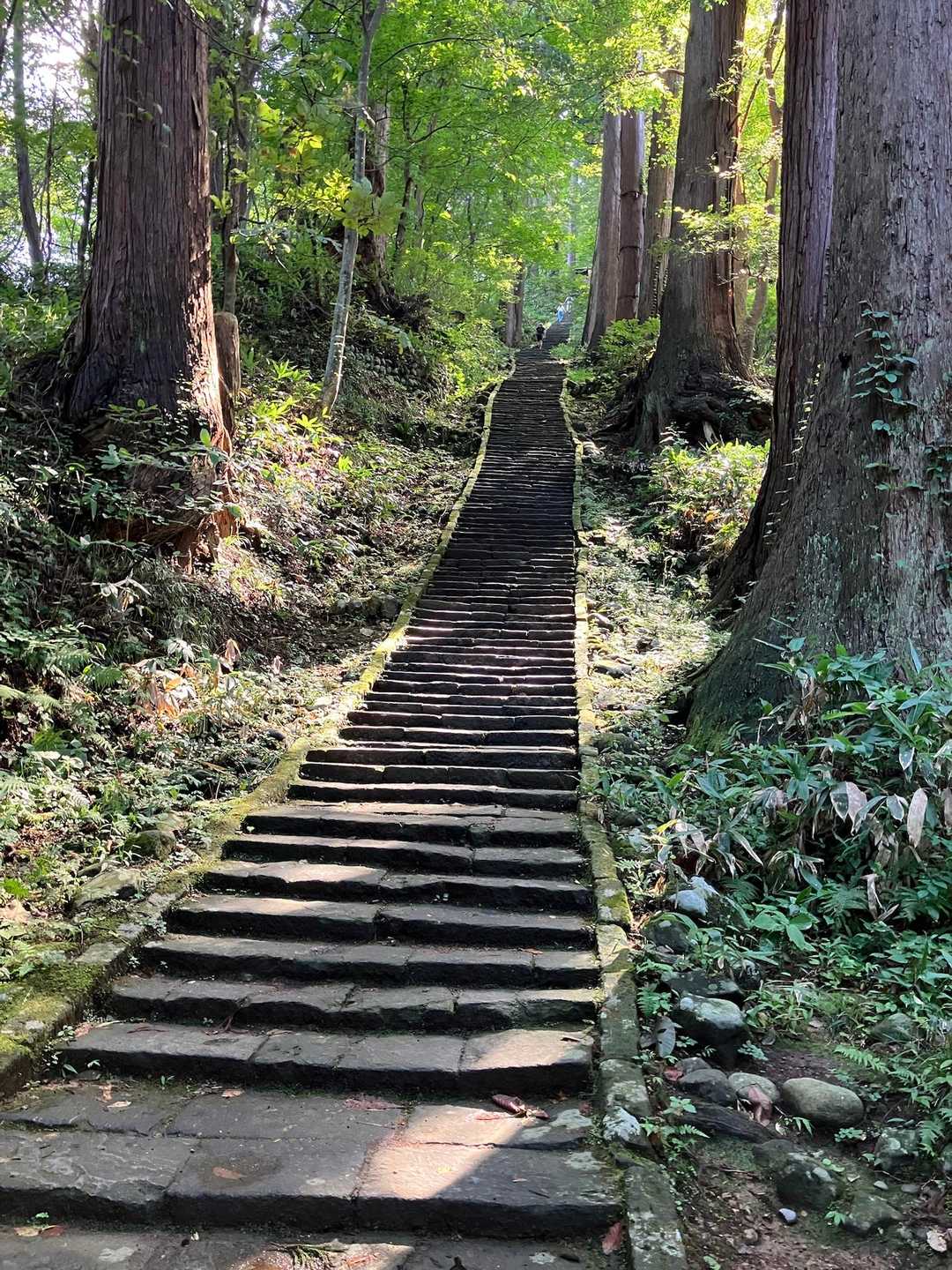 羽黒山 往復コースの写真