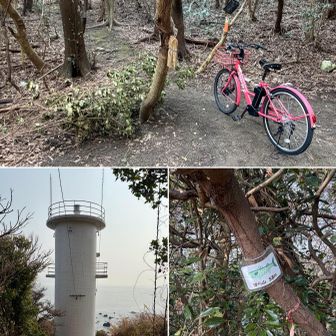 ぼら山登山口　鍵🔒の掛け方が分からぬ…イチイチ手間取る💢　急登で大磯埼灯台→ボラ山🐟(所要9分)