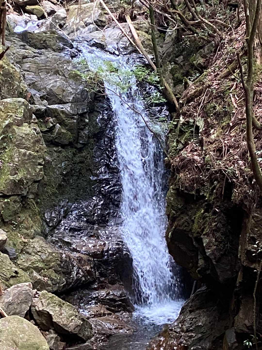 ここもいい感じ💕

https://www.instagram.com/reel/C4mjb_qxGMO/?igsh=MTRveml3Zm5jcWYy
