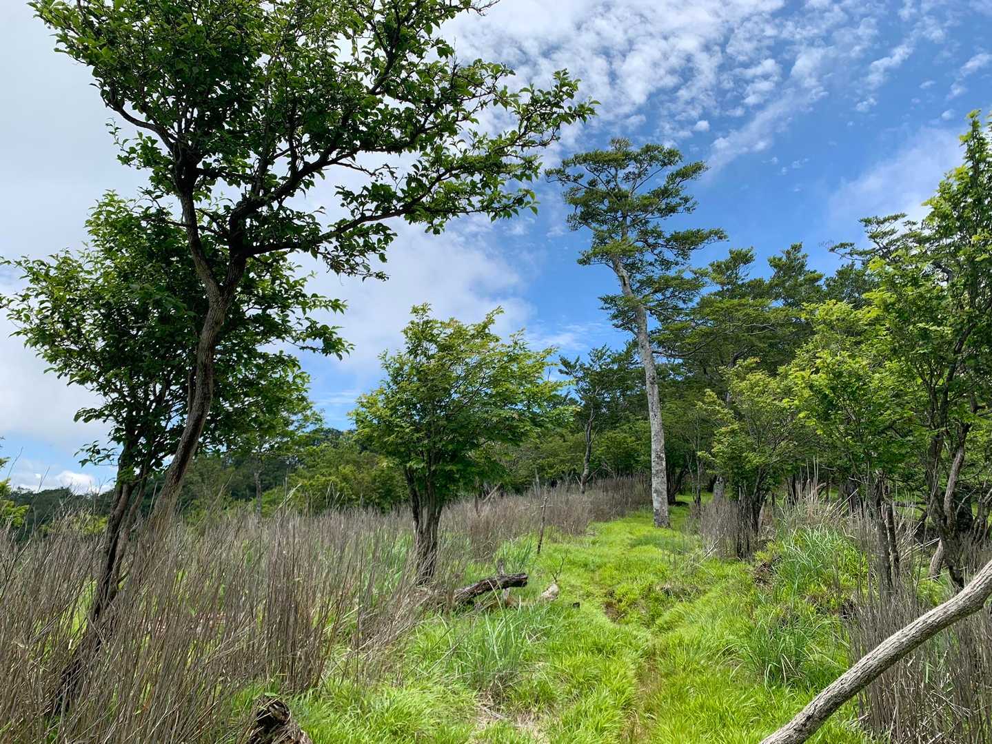 帰りはほんと晴れてスカッとしてます！
日差しは強いけど風が強くて涼しいです🍃