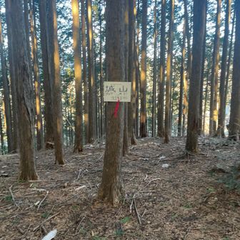 多摩100ハント　鳩ノ巣城山　景色は無し