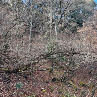 さて！
予定のルートへと