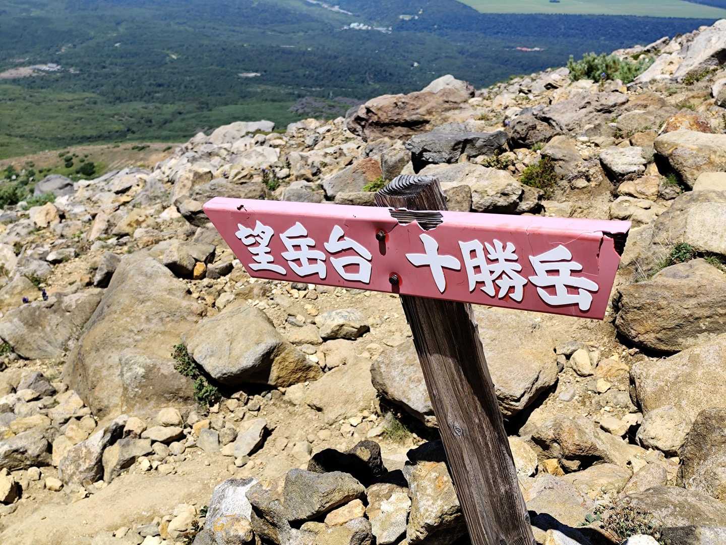 ここは楷書風