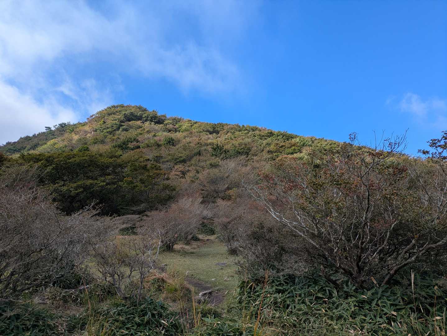 おお、良い天気です。