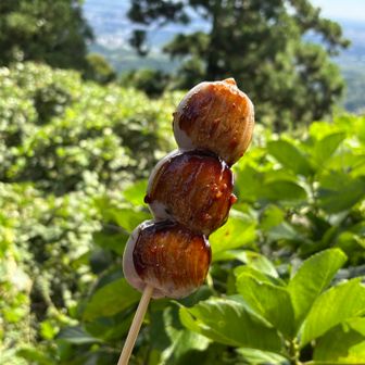 十穀力団子　味噌だれ最高！！