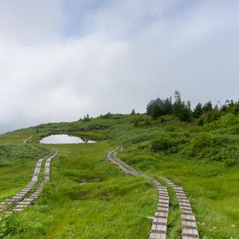 奇跡的に一度も転けずに戻ってこれた