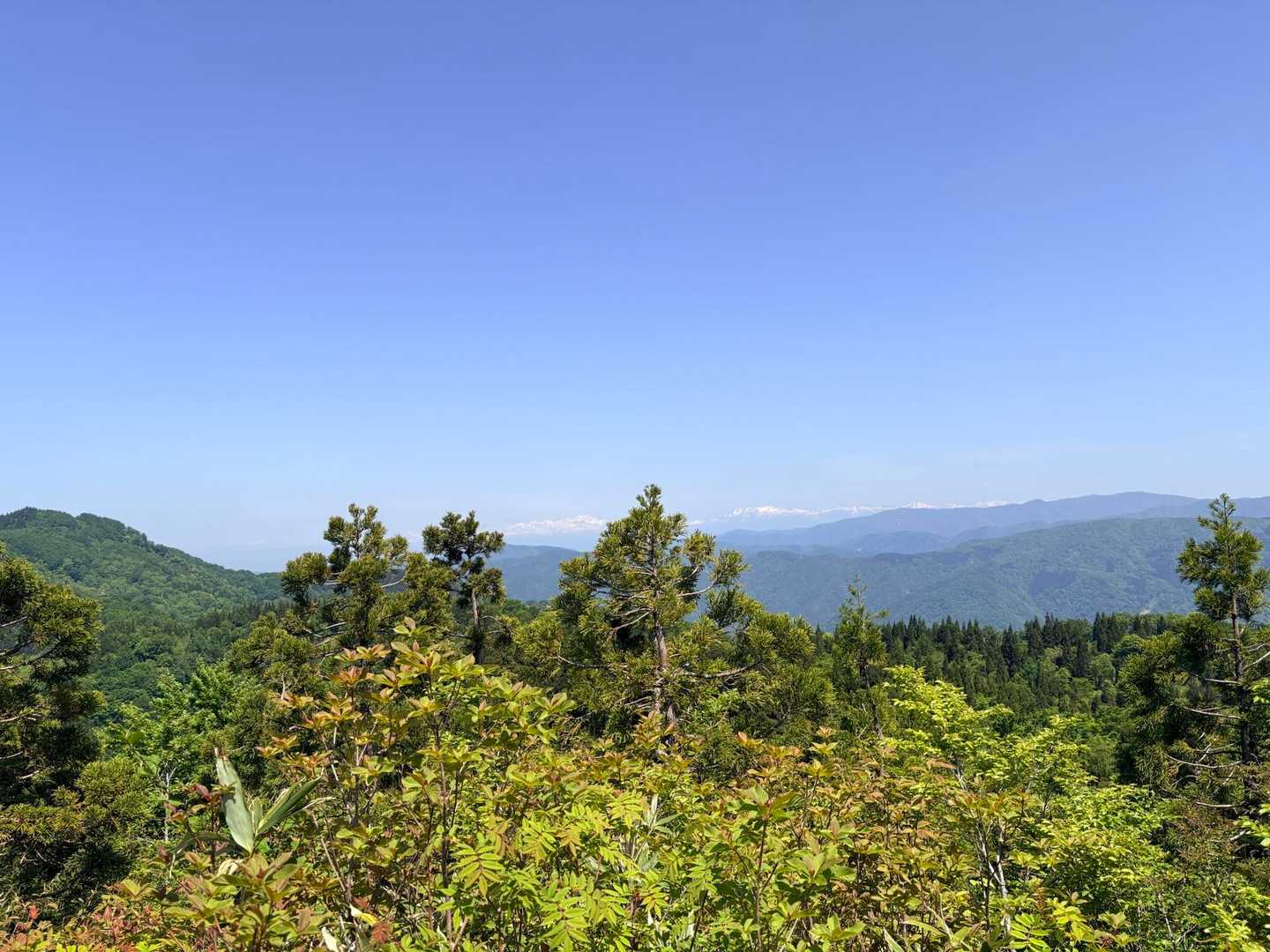 高清水山-高落場山-草沼山 周回コースの写真
