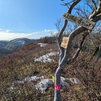 ちょっと寄り道してグレピ踏み、大塚山
