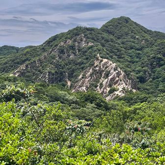 東山から眺める　緑に囲まれた馬の背✨✨