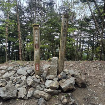 大菩薩嶺着きました。
2パーティ数名食事中、あと雷岩方向から数組、数人登ってきて同じ向きにおりました。