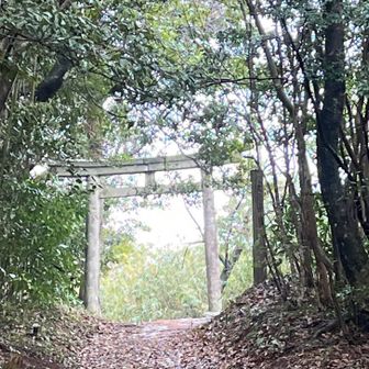 鳥居の向こうは神の領域。