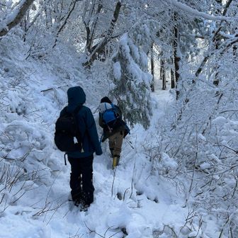 御室も覗く
ちょっとズリっと滑る
焦る😓
