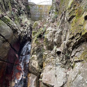 六甲山・長峰山・摩耶山 右側を直登します。
この上りが難関パート2
足掛けるところ無いのと疲れてるので随分苦戦しました。