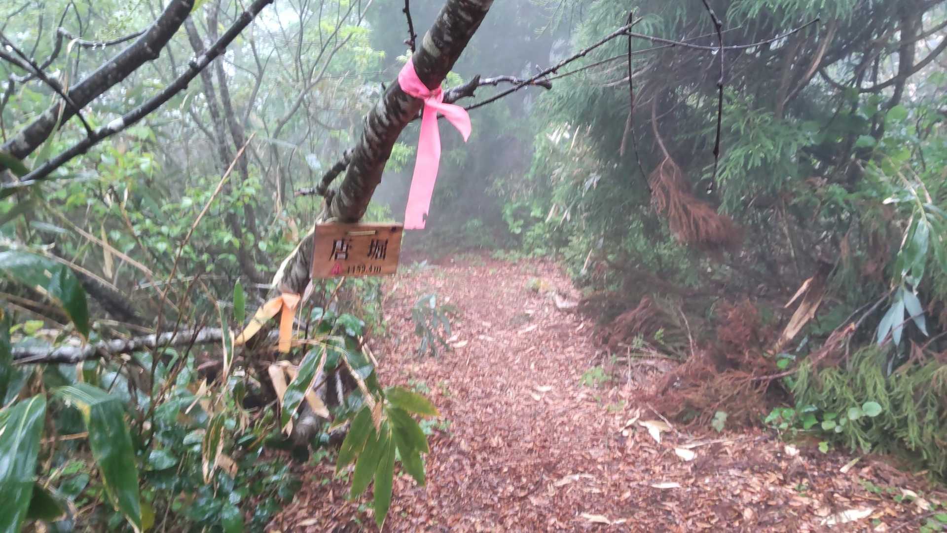 この山、登りもそれなりにキツいがザックの重みも増して、下りが脚にきて結構キツい💦w