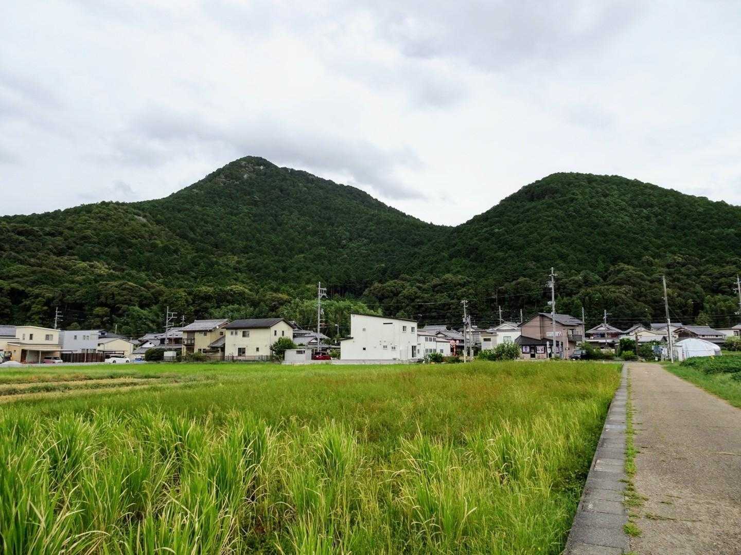 三上山は御上神社の神体山です