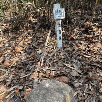 十二山(薮を漕いで、後で切り傷に)