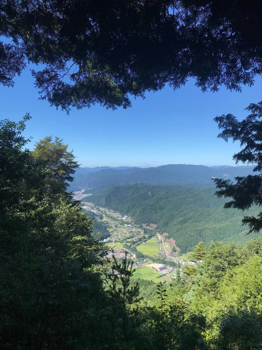 山頂近くからの眺望です👀