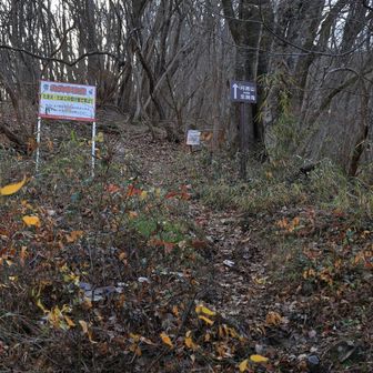 さてここから　かなりしんどく長い登りが始まります
前月居山の中腹まで登り、そこから滝コ－スに回ります